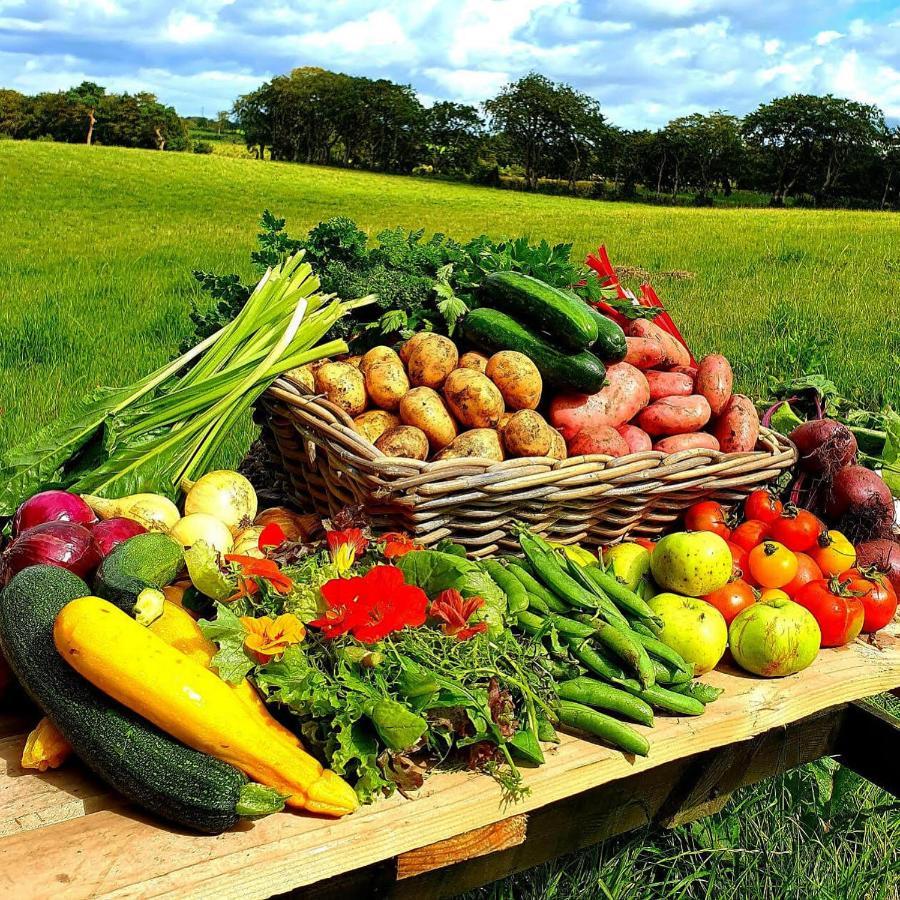 Ballylagan Organic Farm Straid  Экстерьер фото