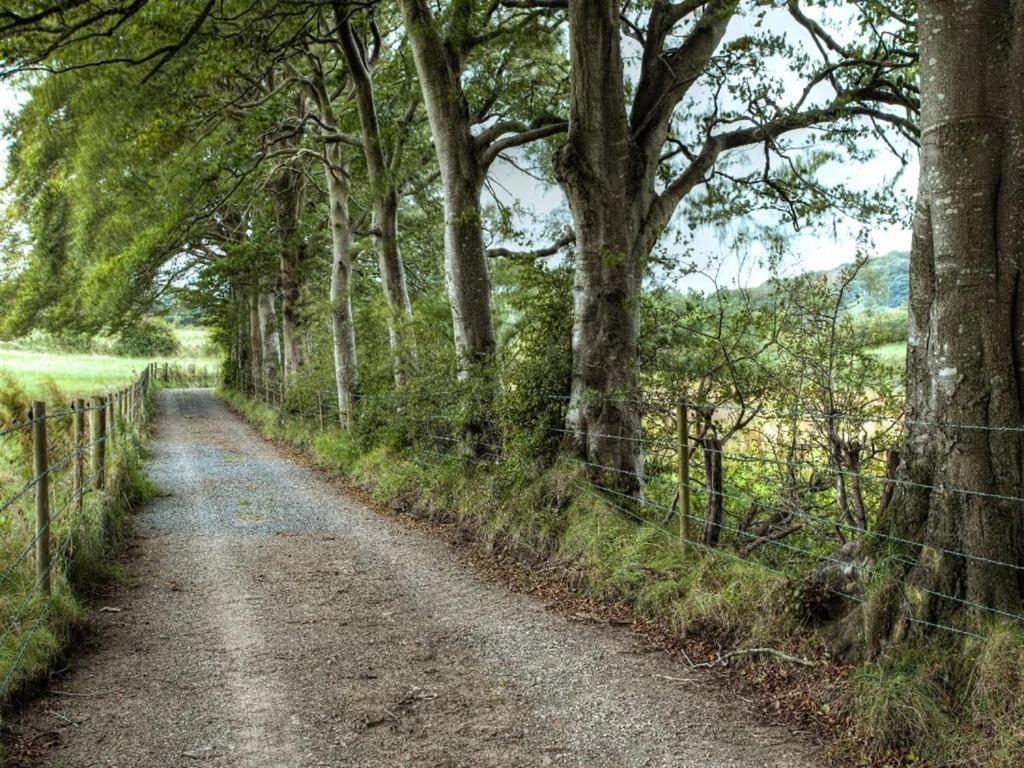 Ballylagan Organic Farm Straid  Экстерьер фото
