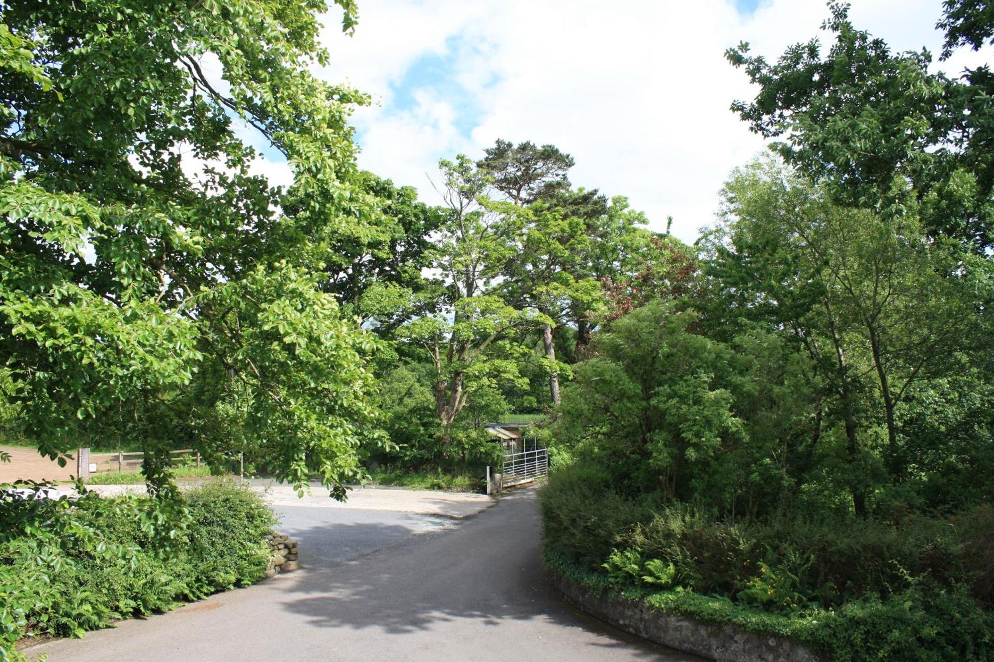 Ballylagan Organic Farm Straid  Экстерьер фото